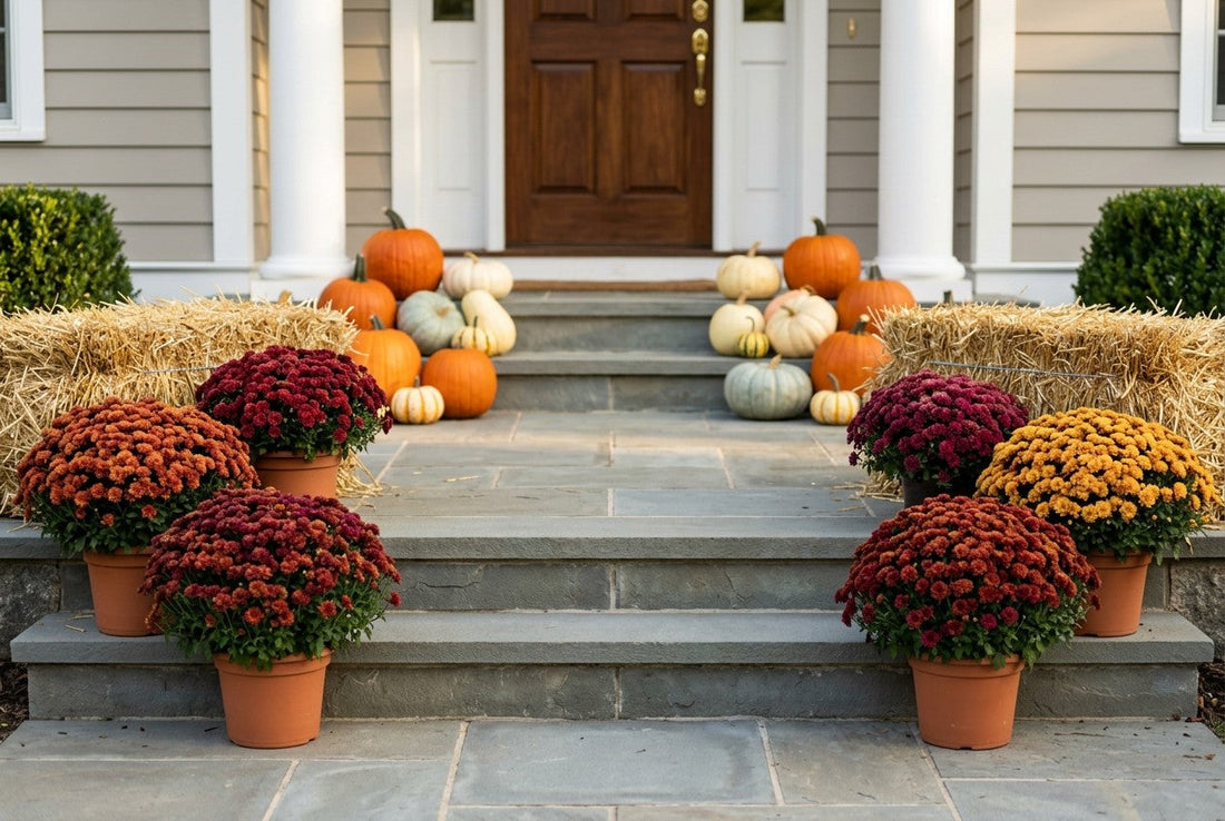 Potted mums in full bloom flanking a fall porch display